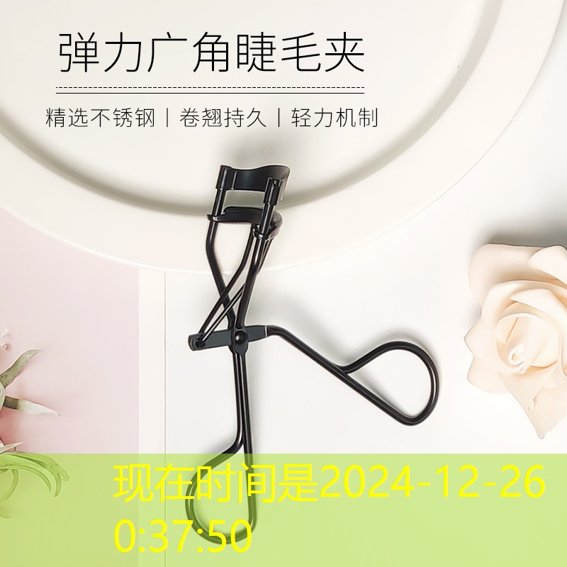 大丰城市绿化树木有哪些
