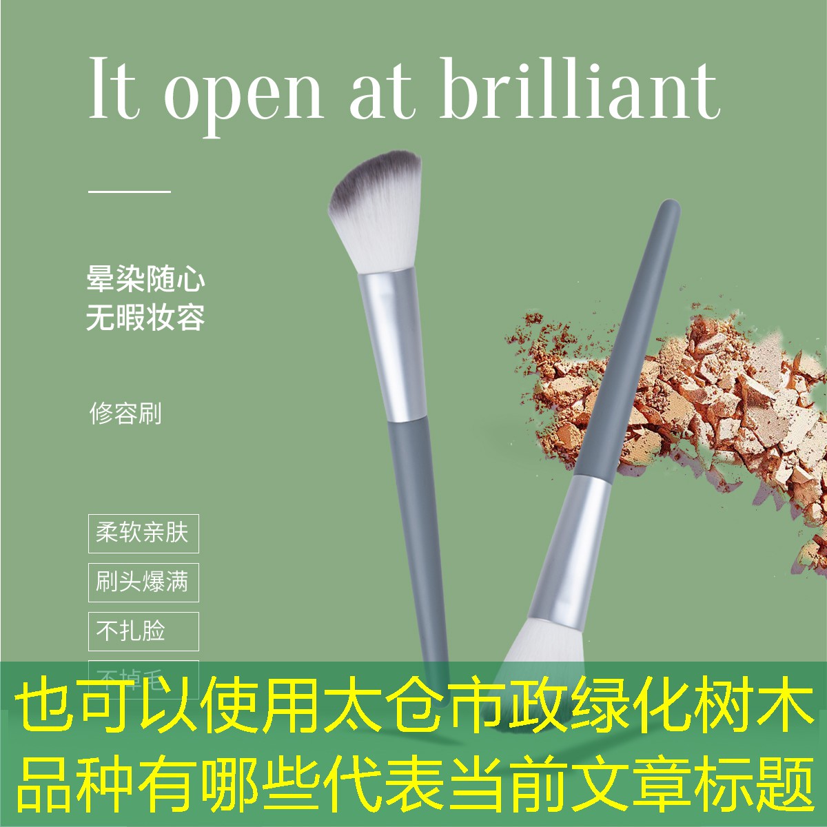 太仓市政绿化树木品种有哪些